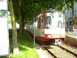 Sülzgürtel