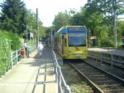 Königsforst
