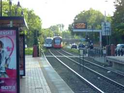 Stegerwaldsiedlung